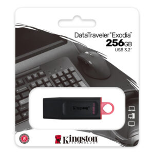 Kingston 256GB USB Flash Drive - High Capacity and Fast Speeds