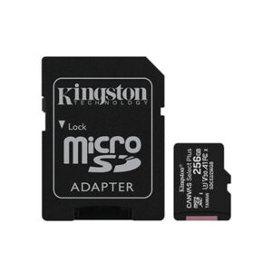 Kingston 256GB MicroSD Card - High Capacity and Fast Performance