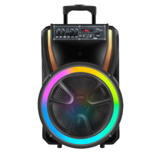 Board-x Speaker L22 with 12" woofer, 1" tweeter, and trolley design